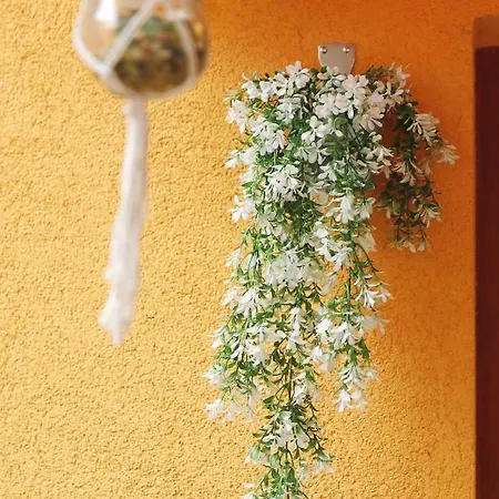 Strpic Appartement *