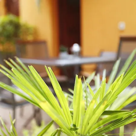 Appartement Strpic *