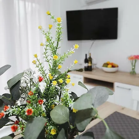 Strpic Appartement Biograd Na Moru